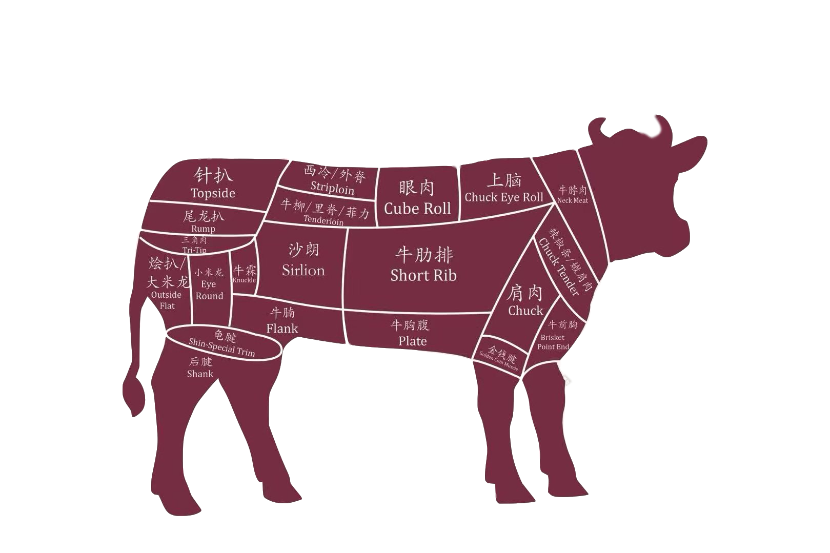 Beef Bitmap  牛肉位图